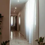 Paola 3* 바라체